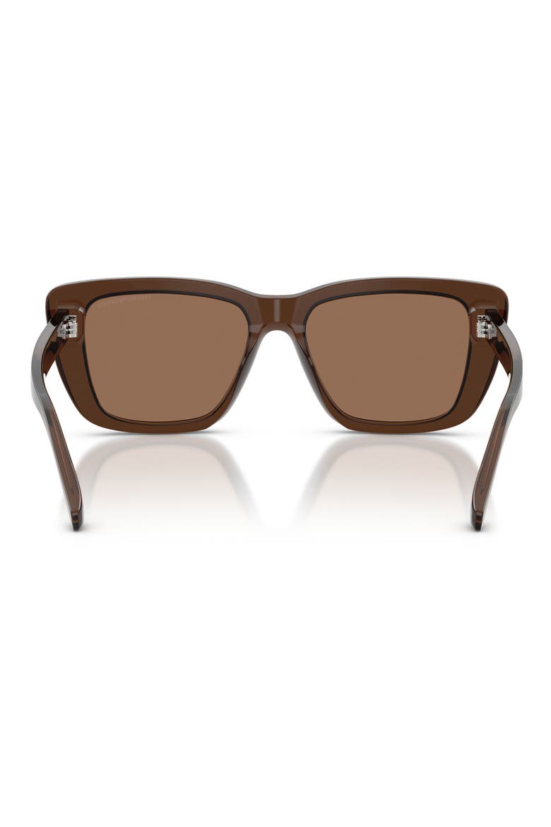 54mm Cat Eye Sunglasses, Alternate, color, SHINY BROWN / DARK BROWN