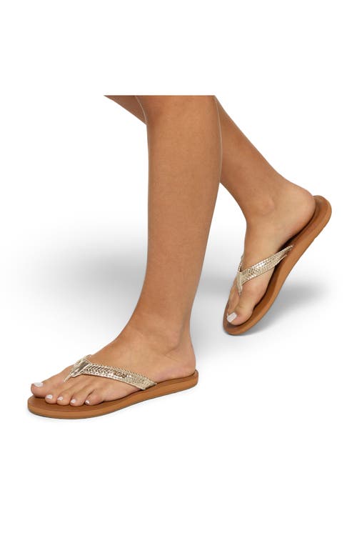 Roxy Lili Iii Flip Flop In Champagne