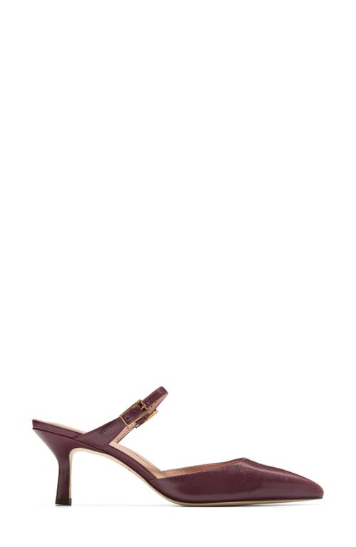 Cole Haan Annalise Pointed Toe Mule