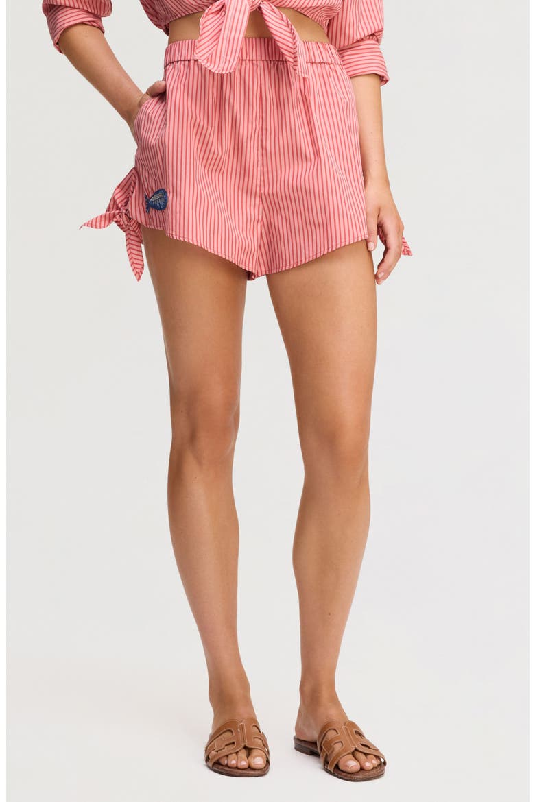 Embroidered Sequin Stripe Cotton Poplin Shorts, Main, color, PINK ROSA SHIRTING S