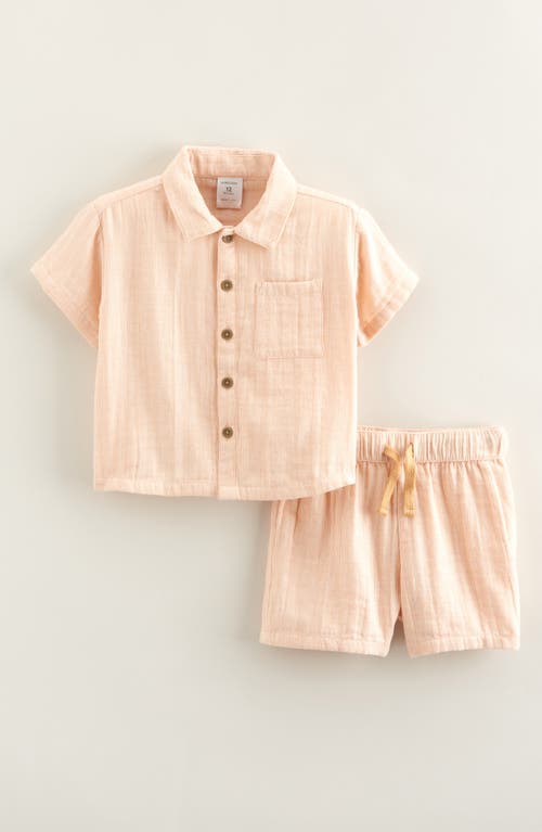 Nordstrom Stripe Short Sleeve Cotton Button-up Shirt & Shorts Set In Pink
