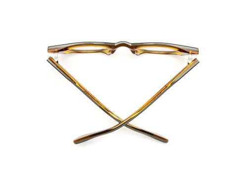 Caddis Dohbro | Reading Glasses