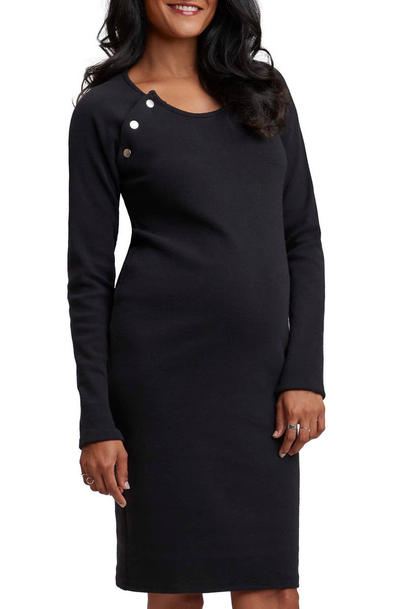 Stowaway Collection Long Sleeve Maternity/Nursing Dress, Main, color, 
