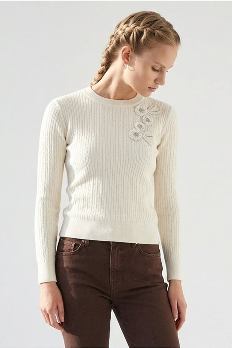 Ryann Embroidered Knit Blouse, Alternate, color, ECRU