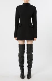 SPORTMAX Mock Neck Long Sleeve Minidress