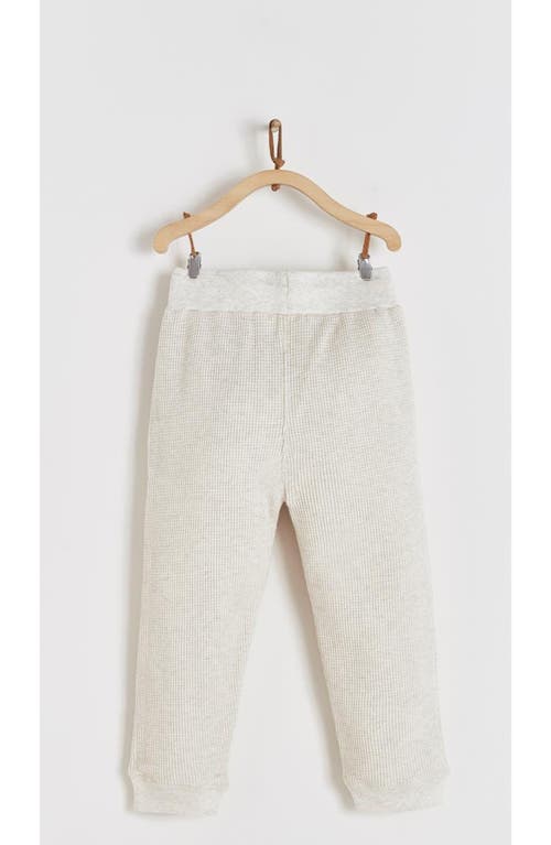 Babycottons Pima Cotton Waffle Knit Pants Samoa In Neutral