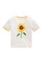 selected Ivory Sunflower