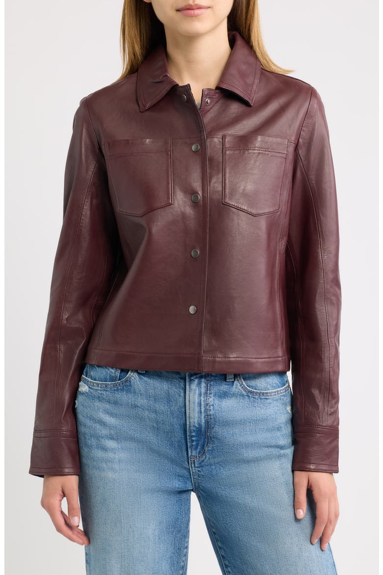 Lefei Leather Jacket, Alternate, color, WINE/ BLACK