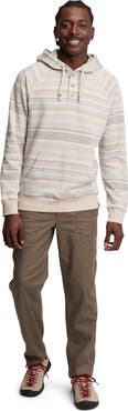 tentree Woodrow Hoodie
