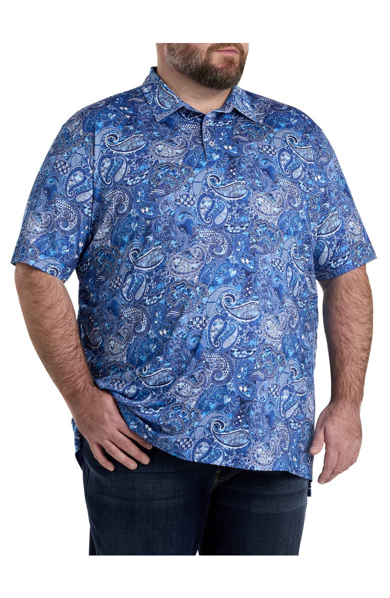 Robert Graham Big & Tall Golden Paisley Polo Shirt, Main, color, 