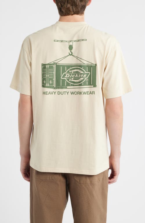 Dickies Apison Cotton Graphic T-shirt In Neutral
