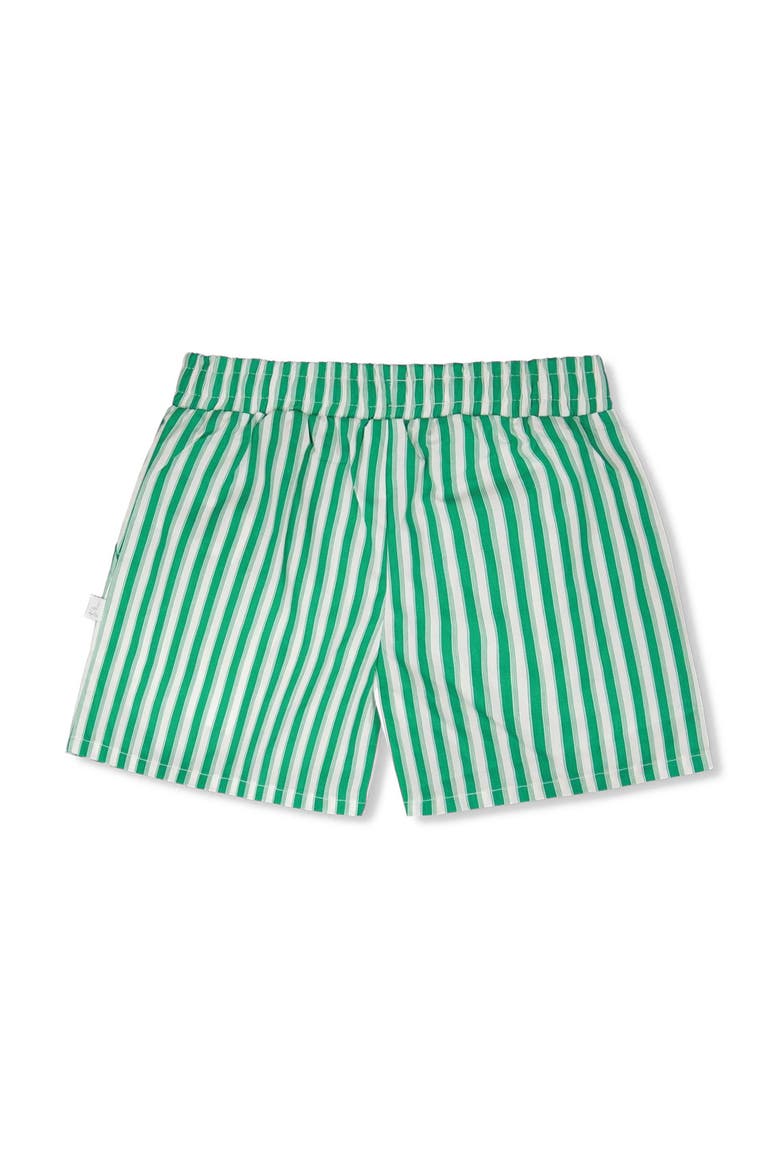 Elastic Waist Slant Pockets Striped Shorts, Alternate, color, Green Stripes
