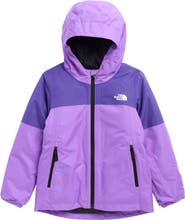 The North Face Kids' Freedom Insulated Waterproof Hooded Jacket