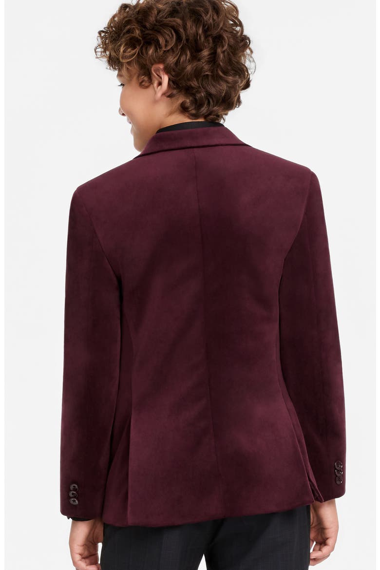 Kids' Velvet Suit Jacket, Alternate, color, BURGUNDY