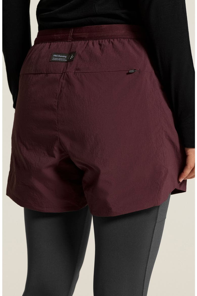 SubZ Insulated Performance Shorts, Alternate, color, DARK FIG