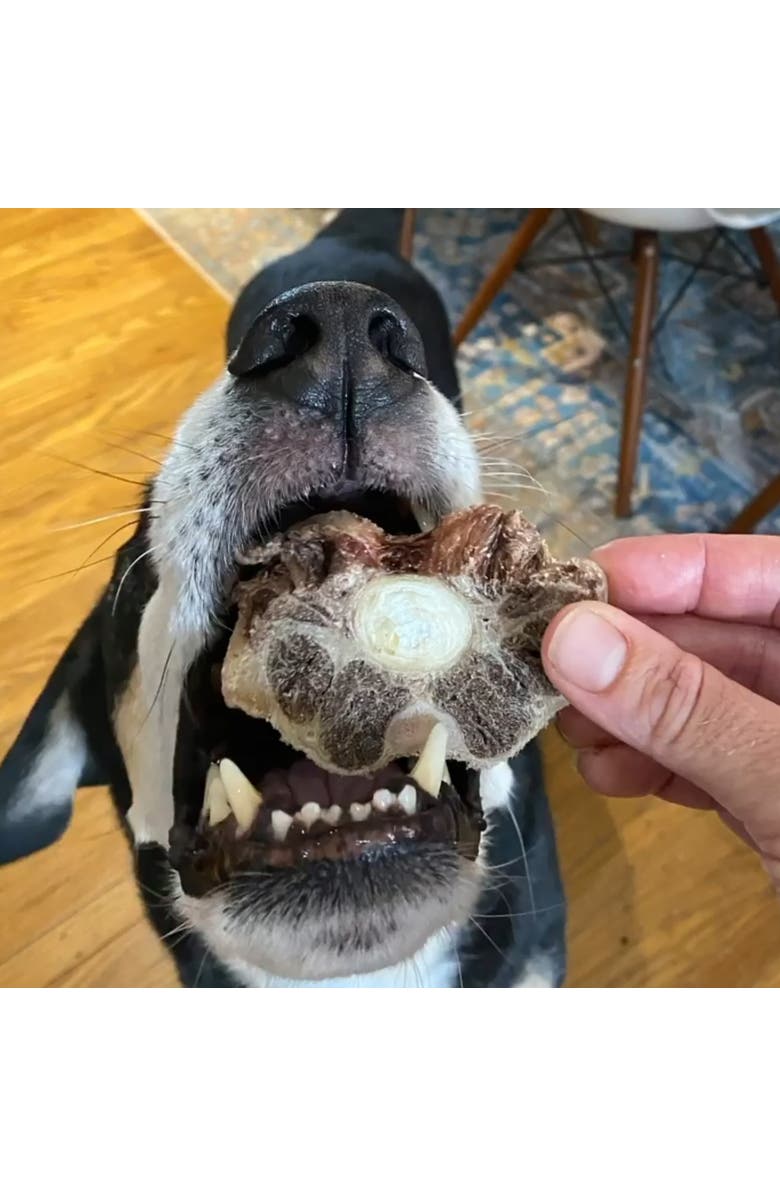 Scout & Zoe's Ox Tails, 3oz Dog Treats, Freeze Dried, Single Ingredient, Alternate, color, Multicolored