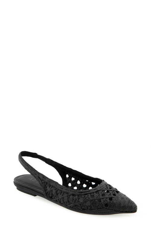 AEROSOLES AEROSOLES DIEGO SLINGBACK POINTED CAP TOE RAFFIA FLAT 