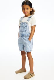 H&M Embroidered Denim Dungaree Shorts