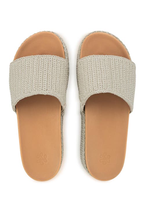 The Sak Olivia Slide Sandal in Ecru at Nordstrom, Size 7