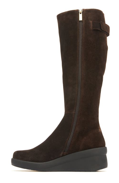 Abeo Passage Tall Boot In Dark Brown - Regular