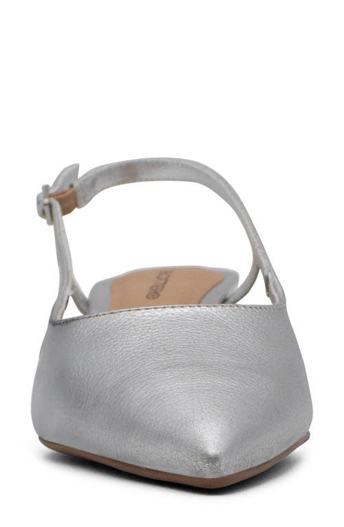 Bottero Botolivia Legacy Pointed Toe Slingback Pump