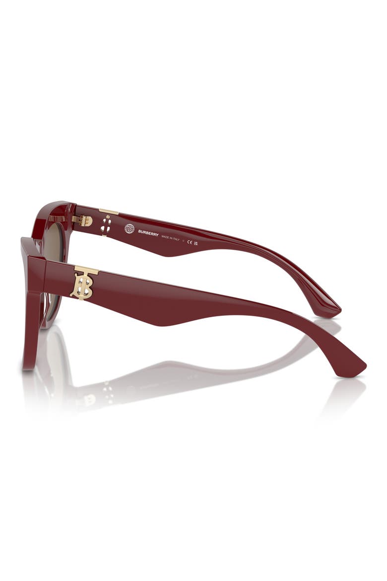 Evolution 54mm Cat Eye Sunglasses, Alternate, color, BORDEAUX