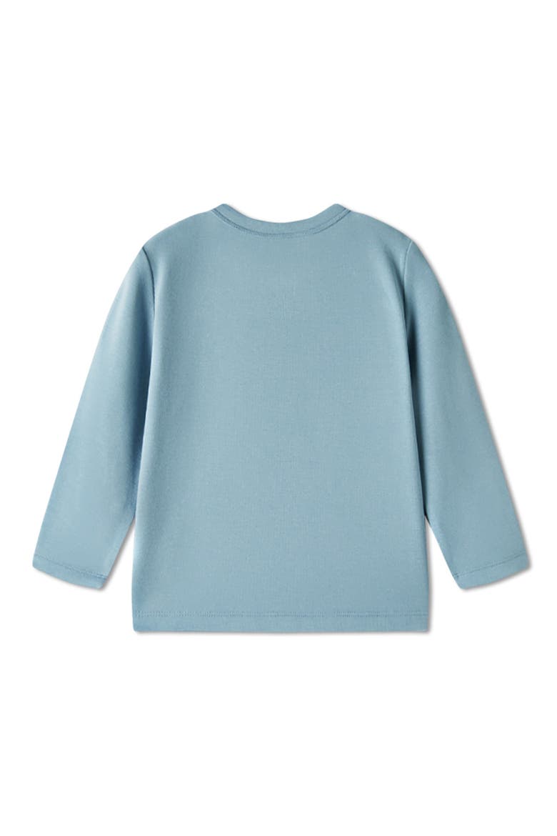 Brushed Long Sleeve T-Shirt, Alternate, color, Stone
