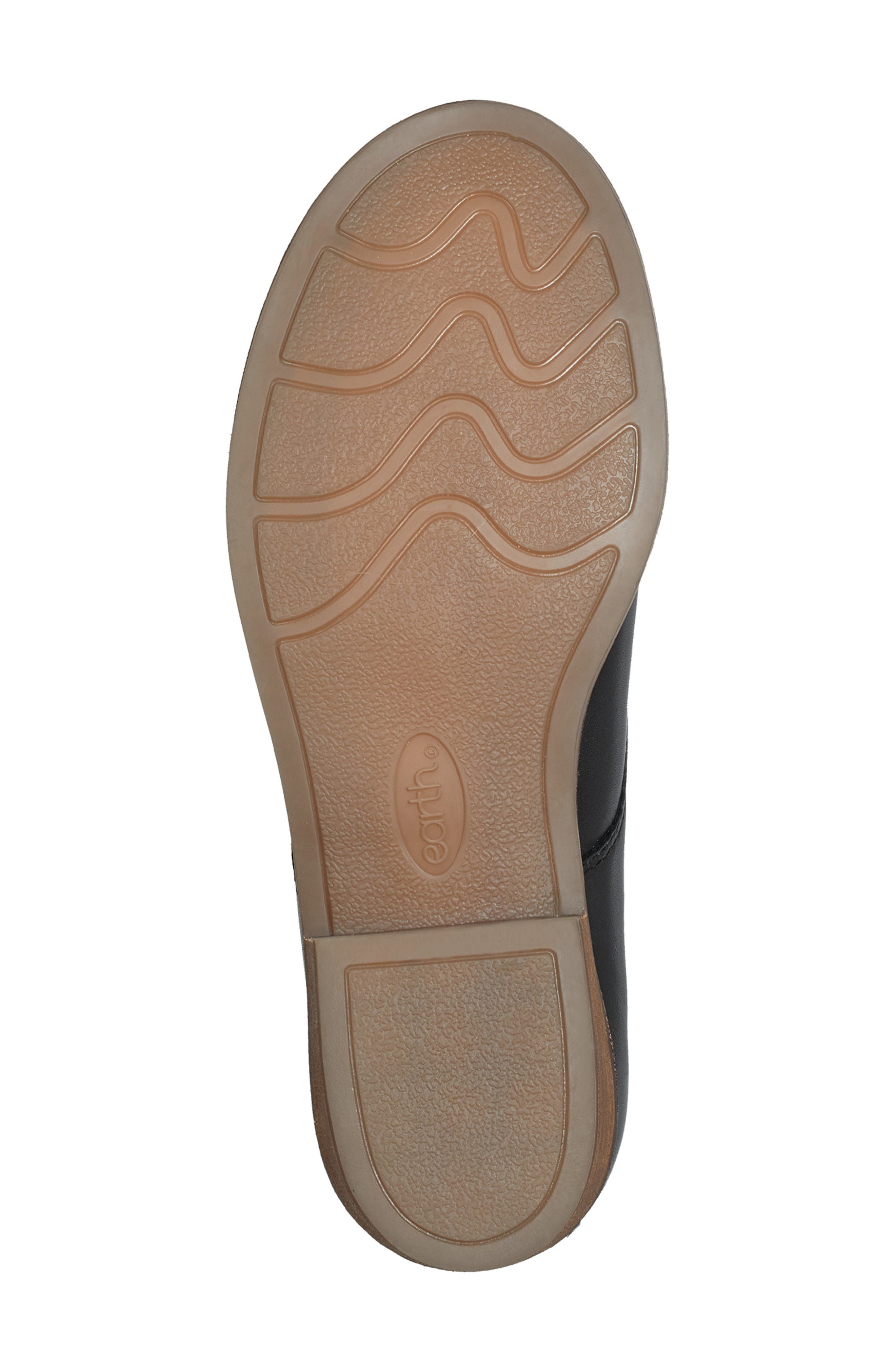Earth<sup
®</sup
 Eane Lace-Up Derby, Alternate, color, Black