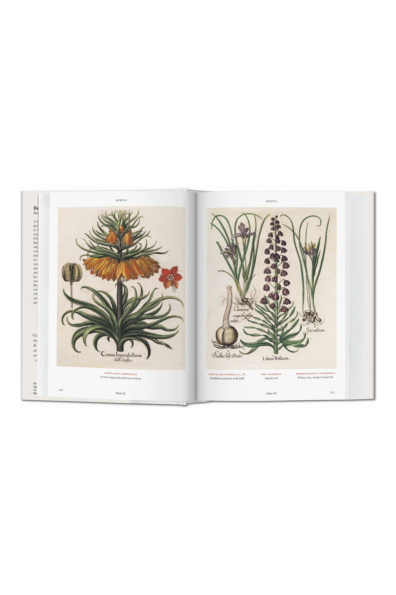 FT THE BOOK OF PLANTS, Alternate, color, WHITE
