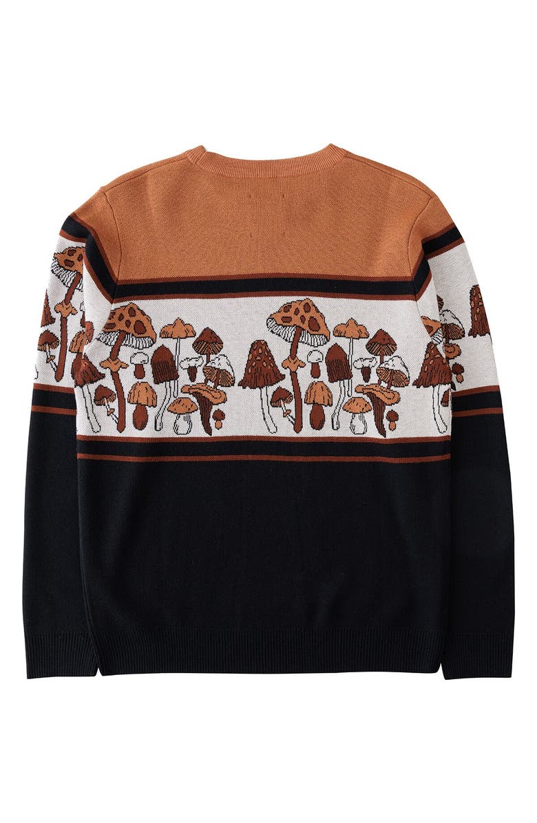 KAVU Highline Sweater - Men's, Alternate, color, Shroom Loom