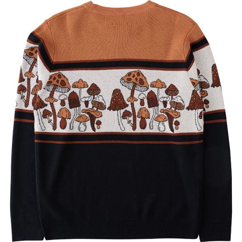 Kavu Highline Sweater In Multi