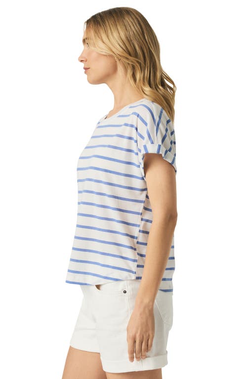 Splendid Skye Stripe T-shirt