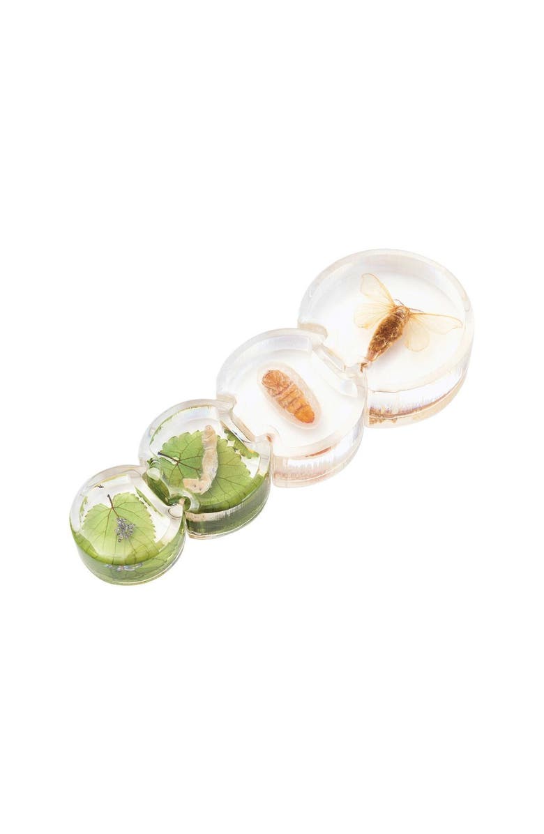 Kaplan Early Learning Company Specimen Life Cycle Puzzles Moth, Alternate, color, Multicolored