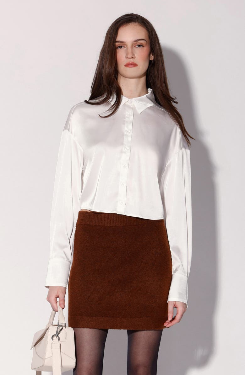 Walter Baker Arabella Sweater Miniskirt, Alternate, color, Brown