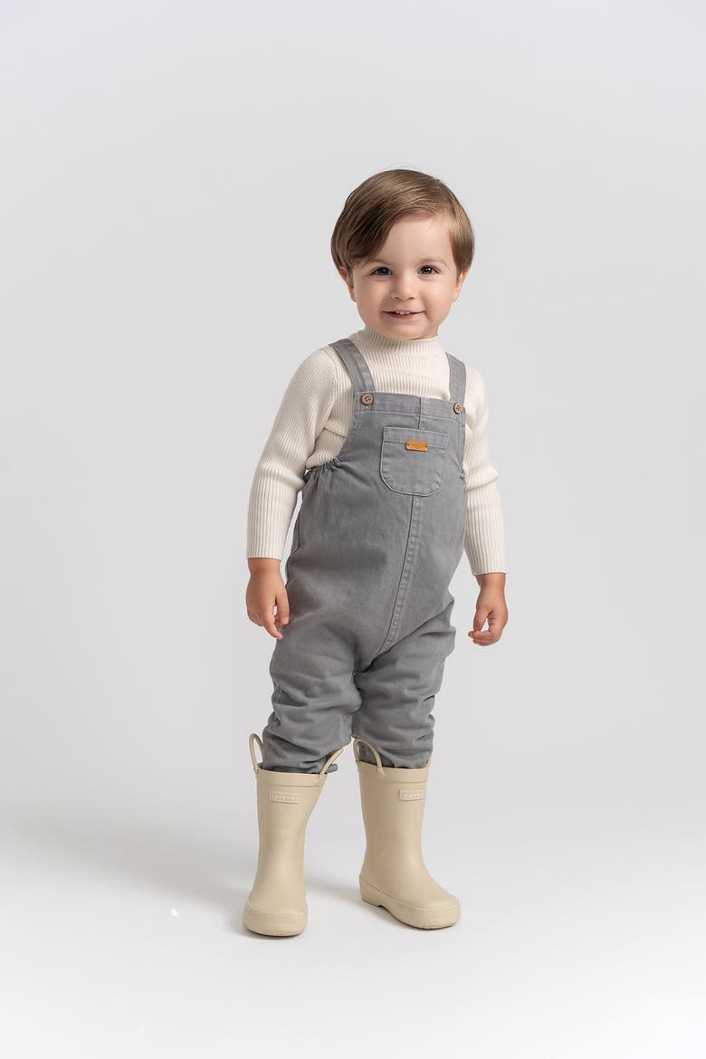 Boy Woven Denim Overall, Alternate, color, Grey