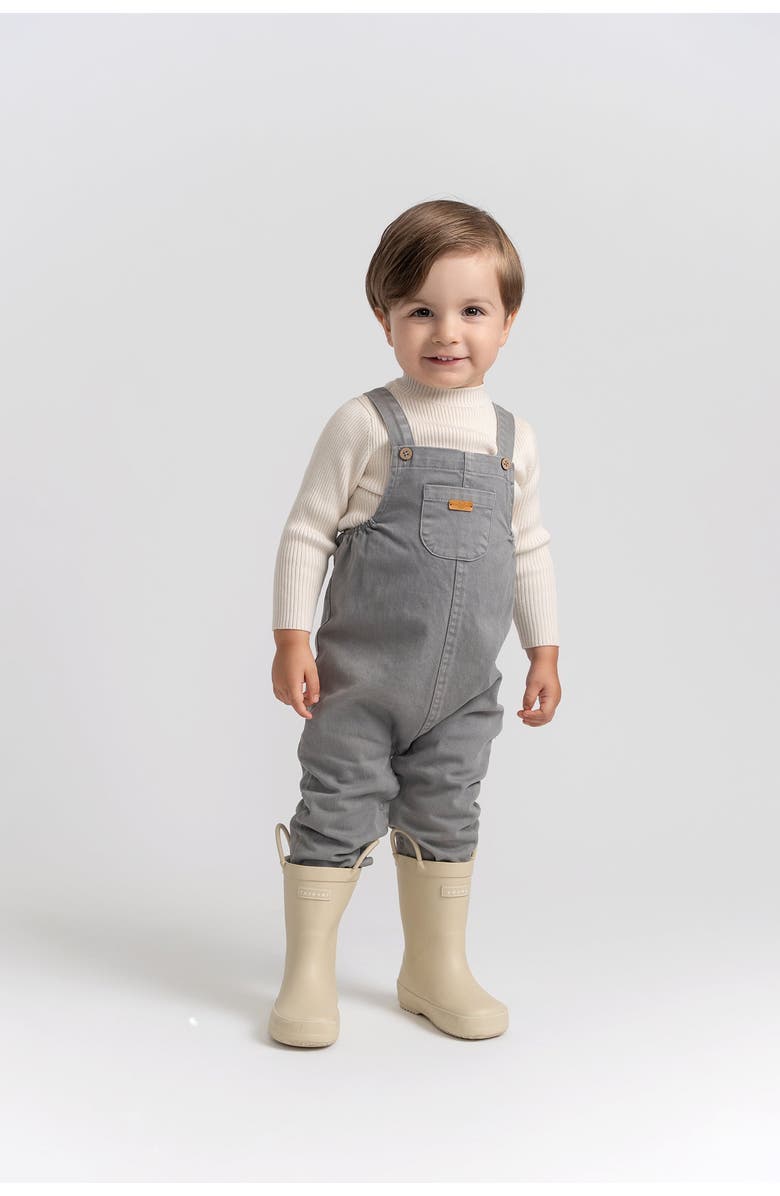 Charlotte & George Boy Woven Denim Overall, Alternate, color, Grey
