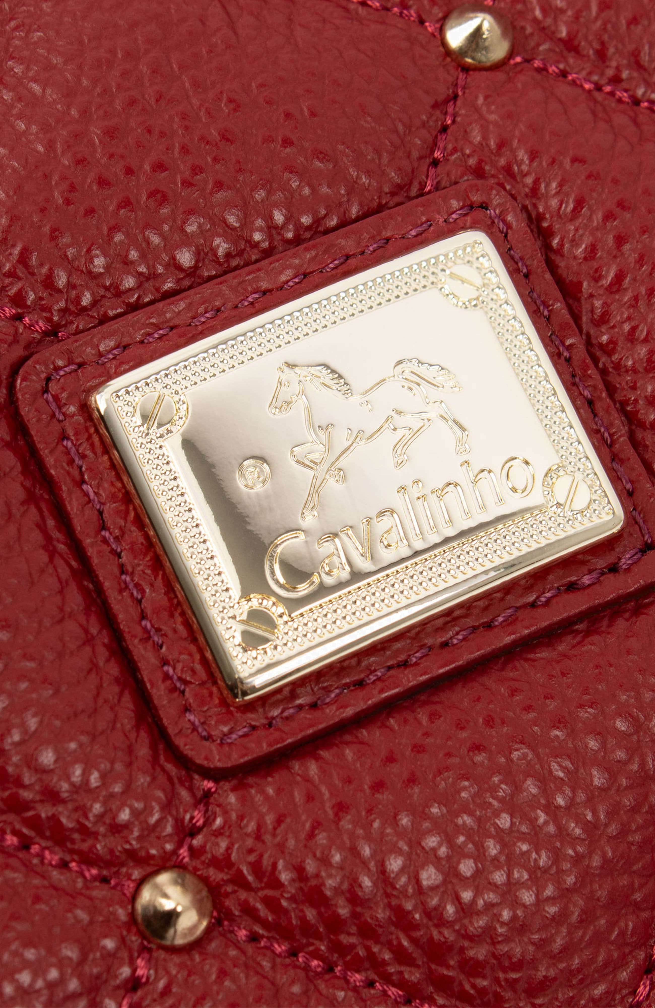 Eternal 567 Leather Handbag, Alternate, color, Burgundy