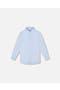 selected Pale Blue