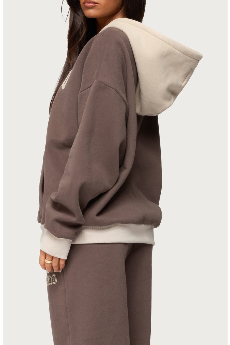 1980 Oversized Colorblock Hoodie, Alternate, color, BROWN