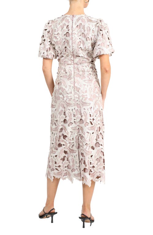Adelyn Rae Chantelle Scallop Lace Midi Dress In Champagne/mauve