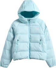 The North Face Kids' Hydrenalite Down Hooded Jacket
