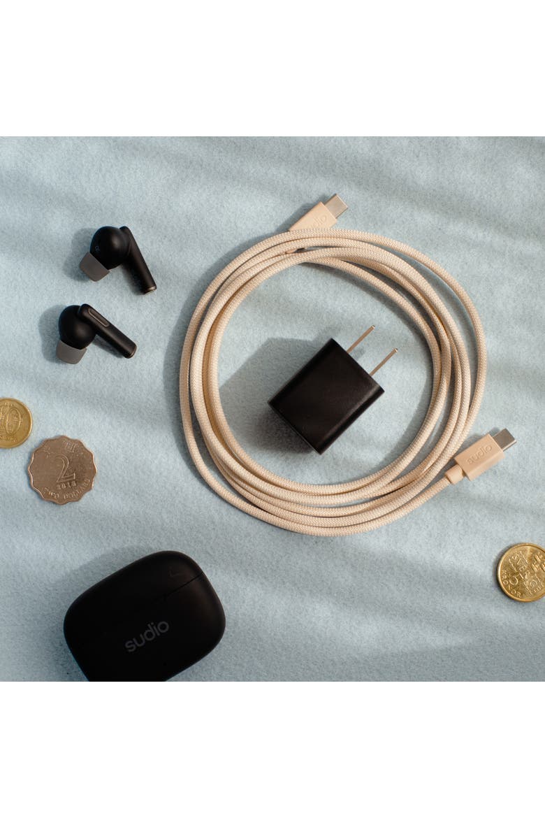 P1 25W Plug, Alternate, color, Black
