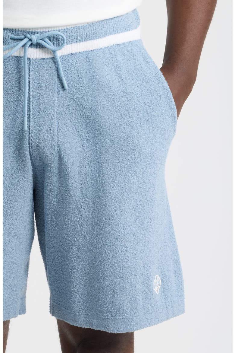Armas Cotton Blend Shorts, Alternate, color, POWDER BLUE