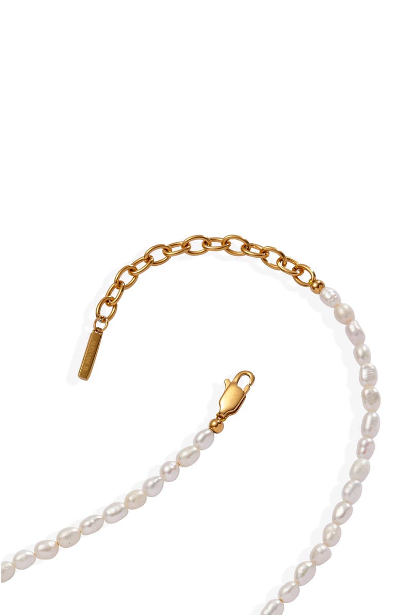 Alex and Ani Freshwater Pearl Necklace, Alternate, color, Pearl