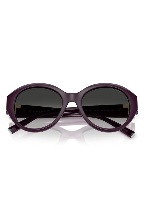 Tiffany & Co . 53mm Gradient Round Sunglasses In Burgundy/grey