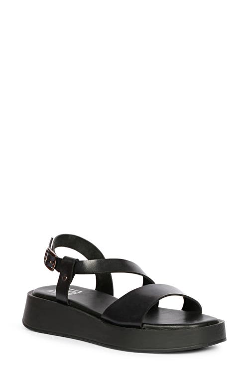 Saint G Nasrin Ankle Strap Platform Wedge Sandal In Black