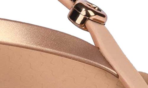 Ipanema Rio Ankle Strap Sandal In Brown