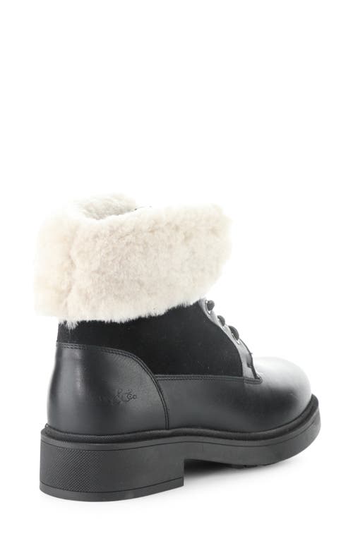 Bos. & Co. Nyssa Waterproof Genuine Shearling Boot In Black