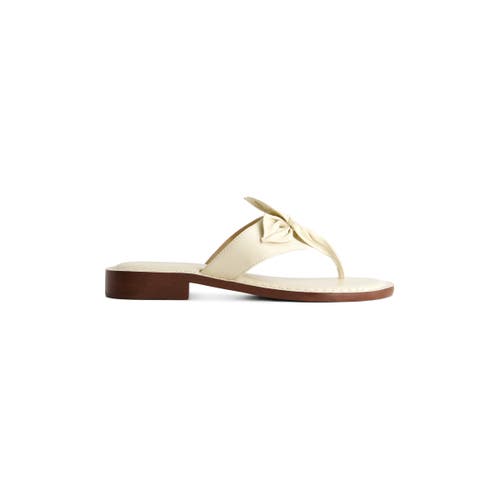 BERNARDO FOOTWEAR BERNARDO FOOTWEAR TAORMINA THONG SANDAL 