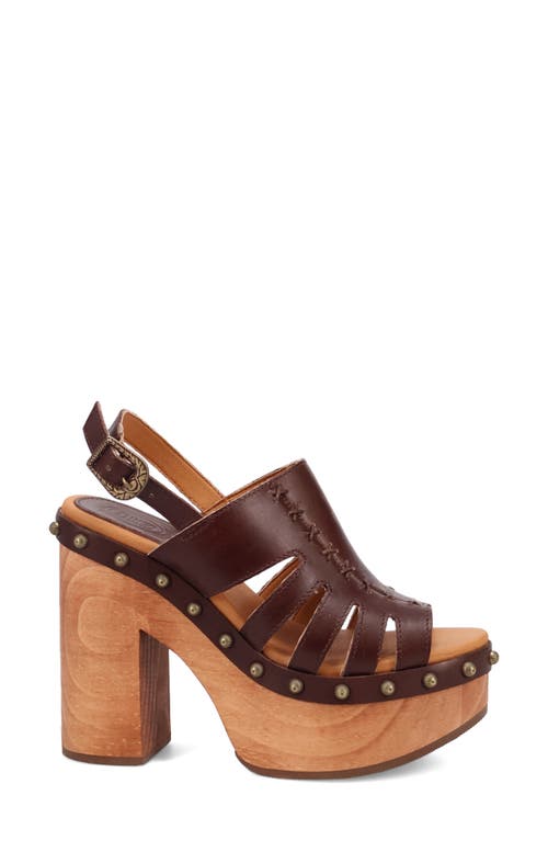 Dingo Gema Slingback Sandal In Brown